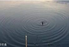 钓鱼高手详解跑铅4大钓法技巧