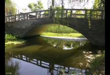 高手分析中午钓鱼很少有口的3个原因