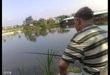 老钓鱼人分享夏季水库钓鱼的诱鱼技巧