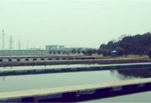 浅谈竞技钓混养比赛快速诱鱼的方法