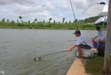 台钓中鱼线的性能对垂钓的影响