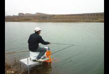 老手分享无铅钓法应对浮鱼