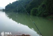 夏末初秋海竿串钩钓鱼的技巧