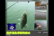 图文介绍抛杆悬坠带漂钓深水方法
