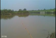 手竿垂钓，不用浮漂 “绷尖钓”