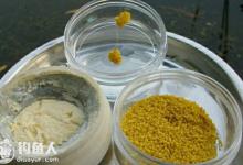 传统蘸饵钓与包食钓的用法介绍