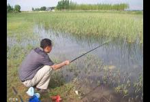 野钓中的进攻战术之“人找鱼”