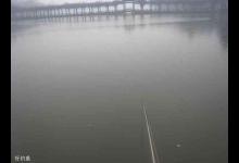 台钓中没口与有口不中鱼该怎么办