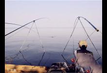 传统钓和台钓的四个不同点，你都知道吗？