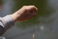 老钓鱼人讲解飞铅钓法的方法及优缺点