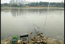 窝中有鱼，但不吃饵的四大原因及对策