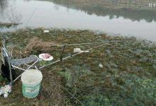 自然水域野钓水草丛的技巧分析