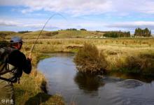 漫谈冬季钓鱼技巧之提钓法