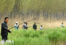 野外钓鱼的钓法和打窝用饵技巧