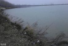 增强海竿风天钓鱼的抗风性