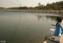 野钓鲫鱼宜活用钓法技巧