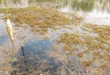 高手总结春季野钓草洞的经验体会