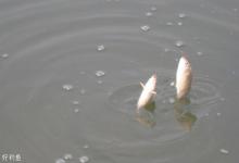 行程钓法中的浮底钓运用技巧