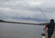 让钓鱼渔获多的七个应变技巧