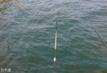 传统钓的摇漂和飞漂的漂相判断