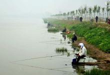 河流野钓活水的选位做窝技巧