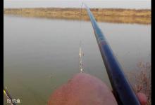 漫谈冬季手竿串钩钓鱼