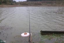 应对急流水大风天的闷竿钓法技巧