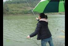 钓鱼需灵活选择钓位钓具钓饵及钓技