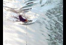 细说传统钓法中的浮钓技术