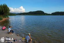 根据实际情况合理选择台钓或传统钓