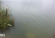 野钓实战，灵活运用合适的调整才有好收获