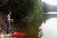 浅谈适合逗钓的鱼情条件及使用技巧