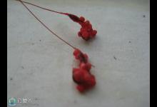 空钩蘸粉钓鱼方法与从蘸粉钓看台钓饵料