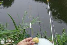 悬坠钓野战攻略4：悬坠野钓的饵料调配