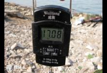 春末夏初时节钓行程的技巧总结