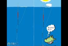 悬坠钓的鱼钩选择技巧全解析