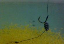 深水库钓大鱼的利器钓组的介绍