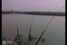 海竿串钩钓黄颡鱼的方法与技巧