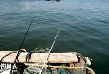 筏钓达人谈网箱筏钓的流程及心得技巧