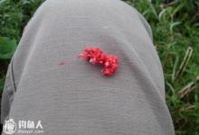 浅谈蘸饵钓法在垂钓中的应用