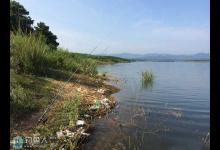 夏季涨水野钓的海竿另类钓法