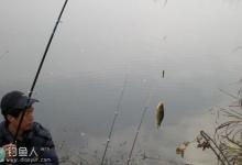 高低坠钓法在冬钓鲫、鲤鱼中的使用