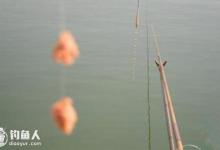 九种常见的台钓操作误区