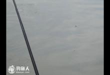 重铅无漂钓的快速找鱼层法