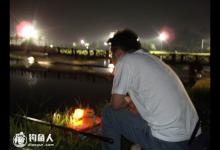 夏季混养塘夜钓攻略（场地、钓具、饵料）