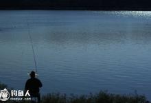 钓友分享夏秋夜钓的一些体悟