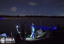 夏天夜钓的好处及用饵、选位技巧