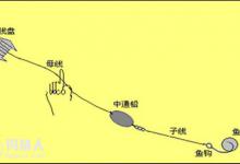 淡水钓场的钓法与钓组种类分析
