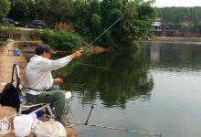 台钓在野钓的改变和与灵活运用技巧