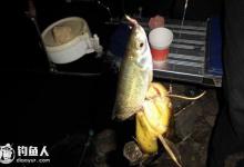 钓友分享水库夜钓攻略（装备、选点、钓法）